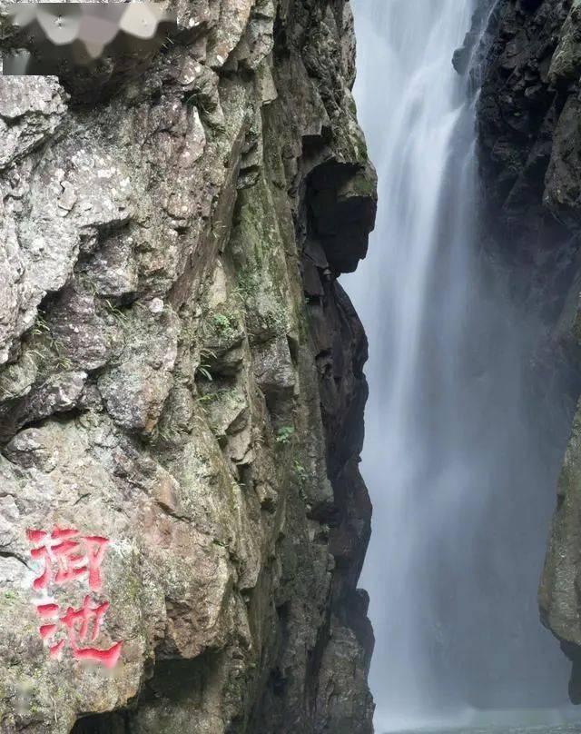 腐草化萤
