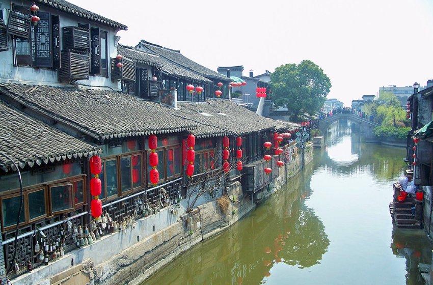 除虫大师
